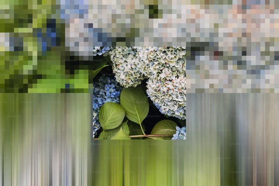 哈登与遭枪击留学生重逢 温情互动感动球迷